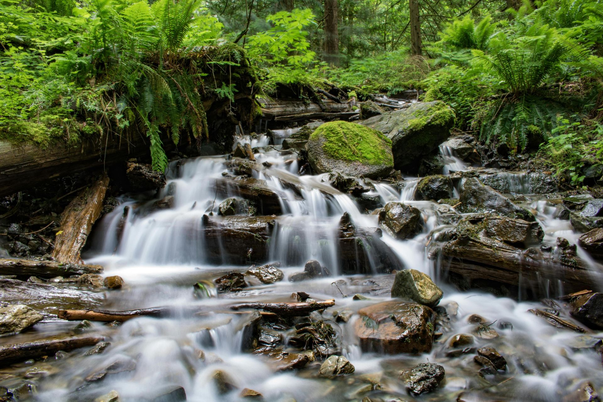 Time Lapse of River